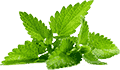 呼叫轰炸神器